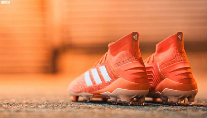 Predator 19 FG Football Boots