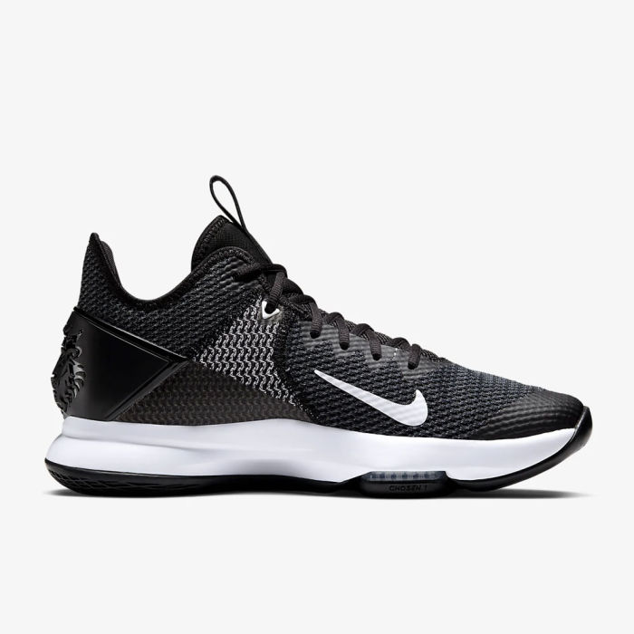 LeBron Witness 4
