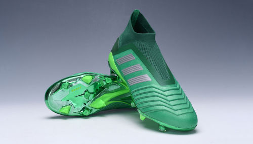 Predator 19 FG Football Boots