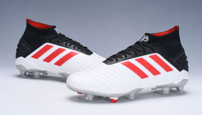 Predator 19 FG x Pogba Football Boots