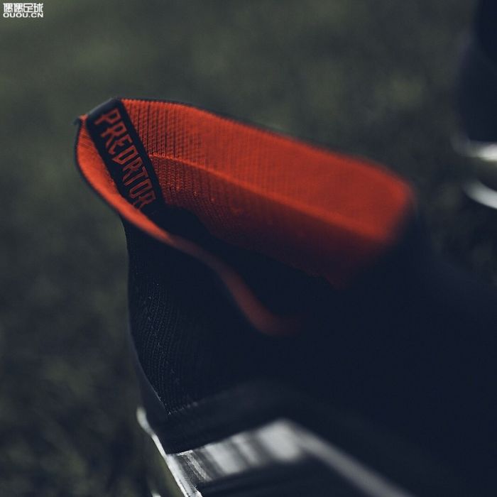 Predator 19 FG Football Boots