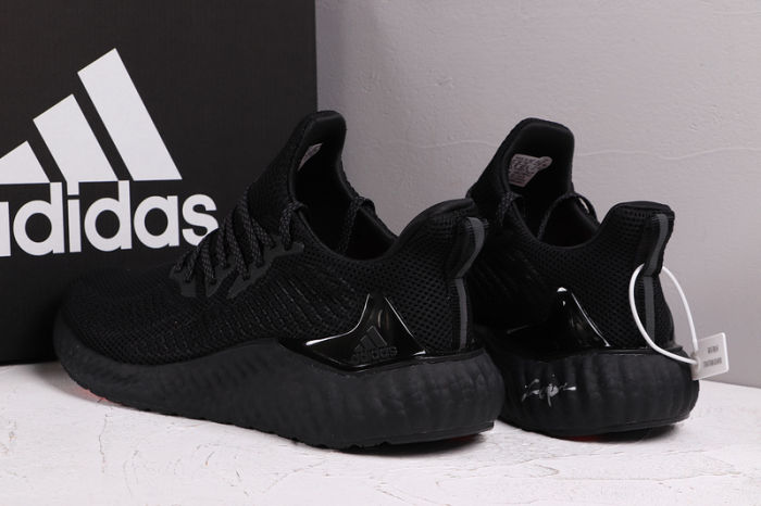 AlphaBOOST System