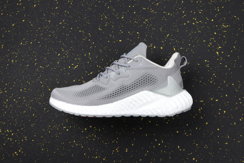 AlphaBOOST System