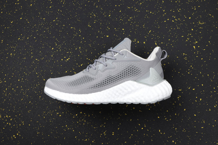 AlphaBOOST System