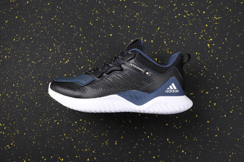 AlphaBOUNCE Beyond