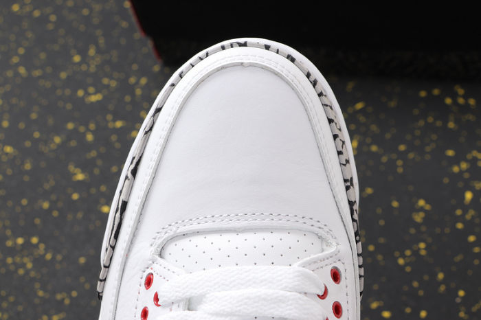AJ3 Retro Classics Shoes 923096-101