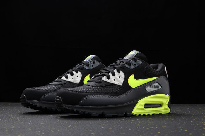 Air Max 90 Classics AJ1285-016
