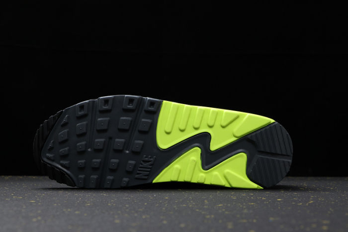 Air Max 90 Classics AJ1285-016