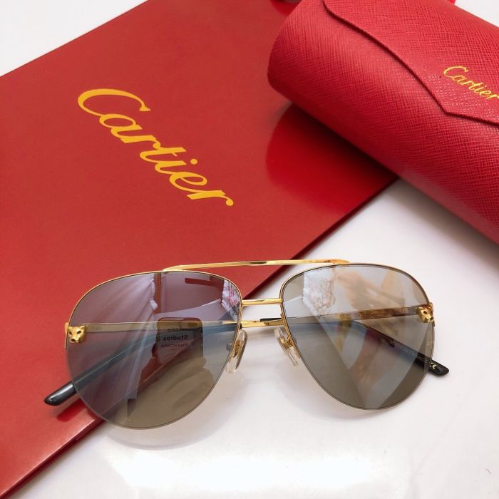 New card Sunglasses Han Xue same type sunglasses ct0065s outdoor leisure driving Sunglasses good face covering effect, super light and comfortable, very textured sunglasses