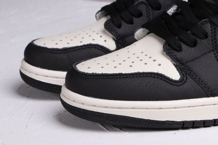 AJ 1 High Retro Classics Shoes 555088-015