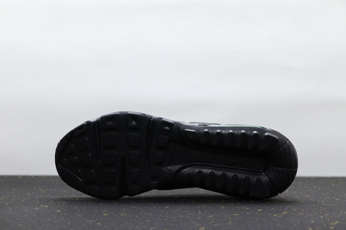 Air Max 2090 CT7695-006