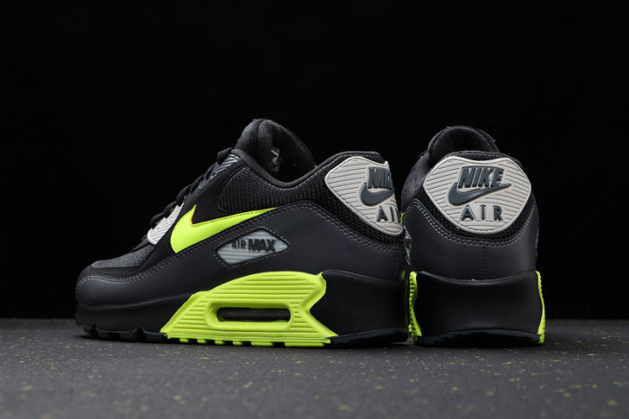 Air Max 90 Classics AJ1285-016