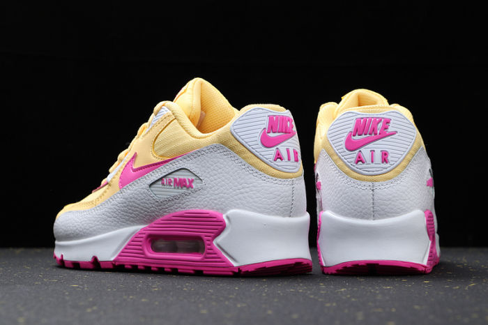 Air Max 90 Classics 325213-702