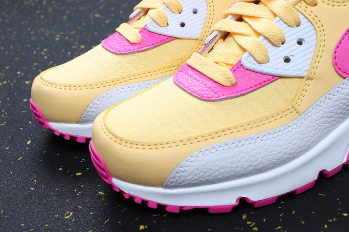 Air Max 90 Classics 325213-702