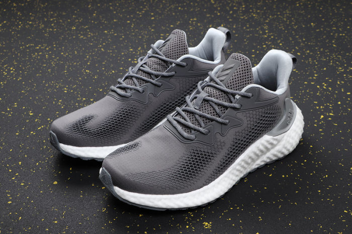 AlphaBOOST System