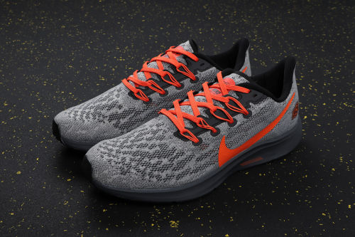 Air Zoom Pegasus 36