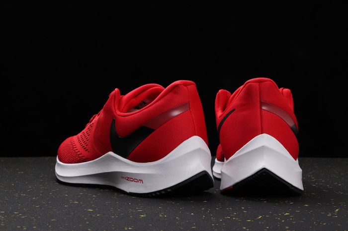 Zoom Winflo 6