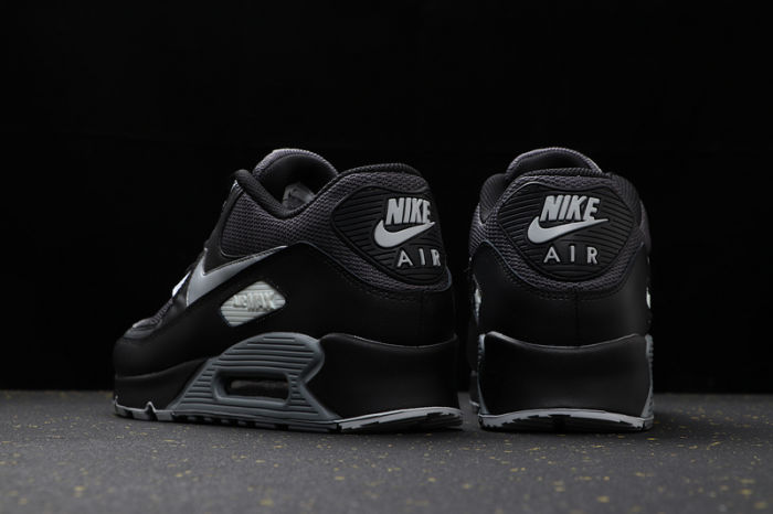 Air Max 90 Classics AJ1285-003