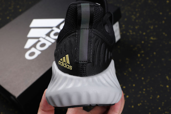 AlphaBOUNCE Beyond