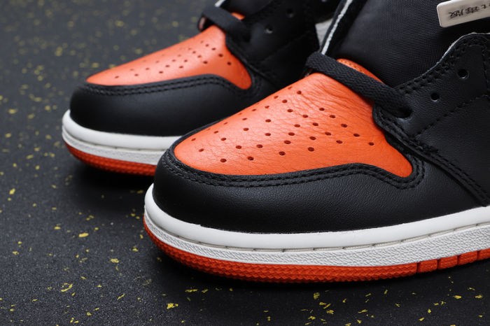 AJ 1 High Retro Classics Shoes 555088-005