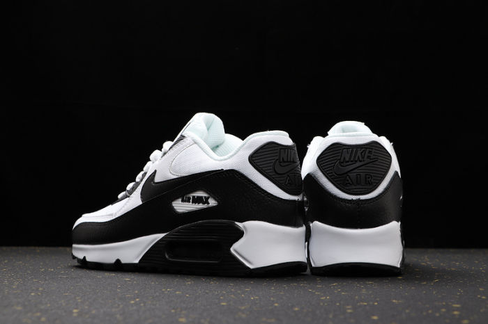 Air Max 90 Classics 325213-139