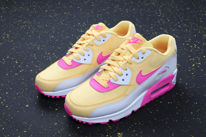 Air Max 90 Classics 325213-702