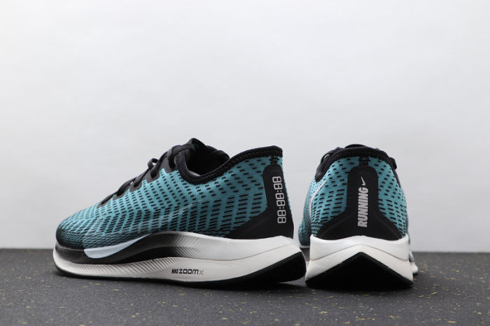 Air Zoom Pegasus 36