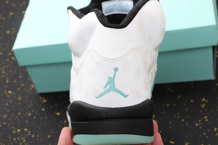 AJ5 Retro Classics Shoes CN2932-100