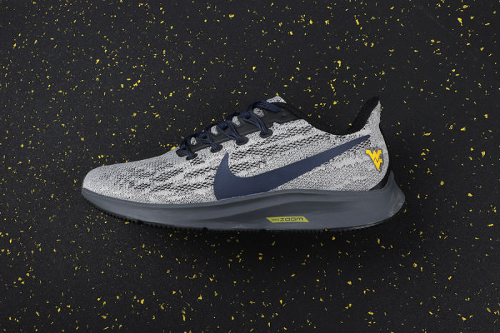 Air Zoom Pegasus 36