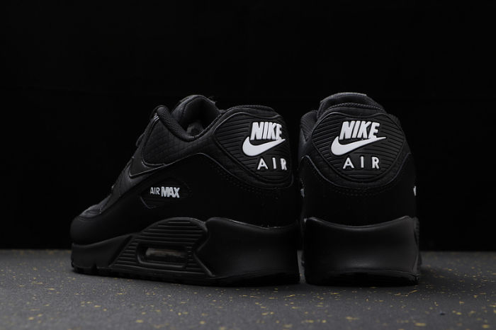 Air Max 90 Classics AJ1285-019