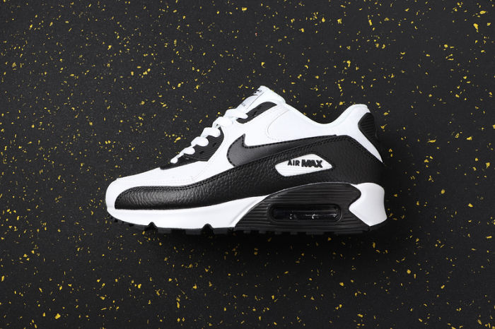 Air Max 90 Classics 325213-139