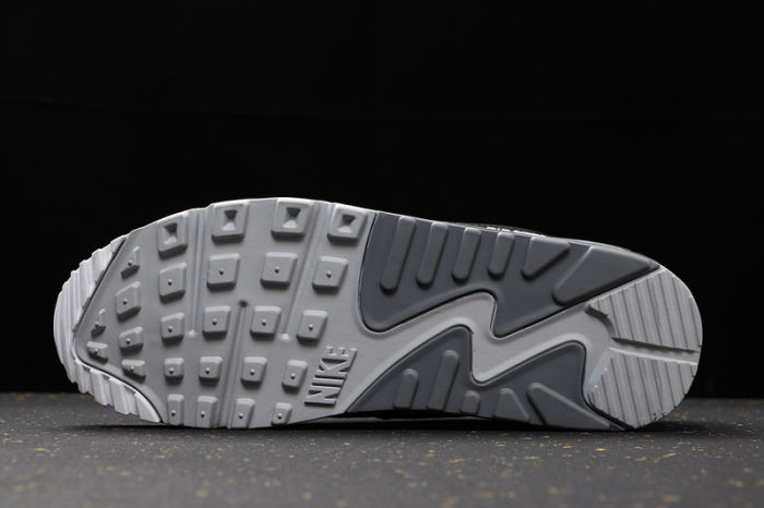 Air Max 90 Classics AJ1285-003