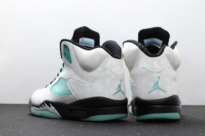 AJ5 Retro Classics Shoes CN2932-100