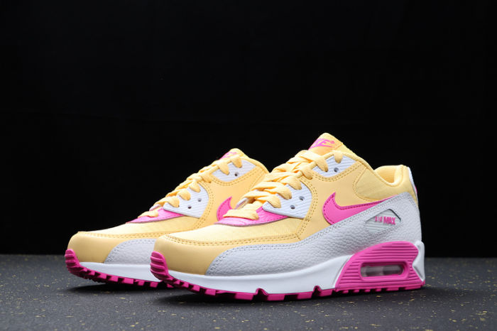 Air Max 90 Classics 325213-702