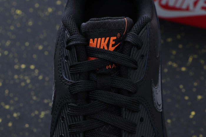 Air Max 90 Classics AJ1285-001
