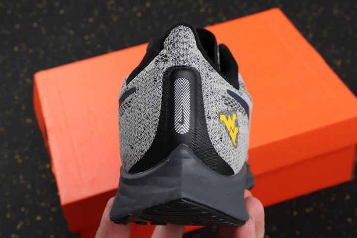 Air Zoom Pegasus 36