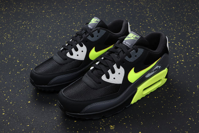 Air Max 90 Classics AJ1285-016