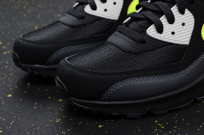 Air Max 90 Classics AJ1285-016