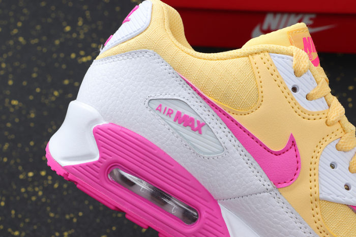 Air Max 90 Classics 325213-702