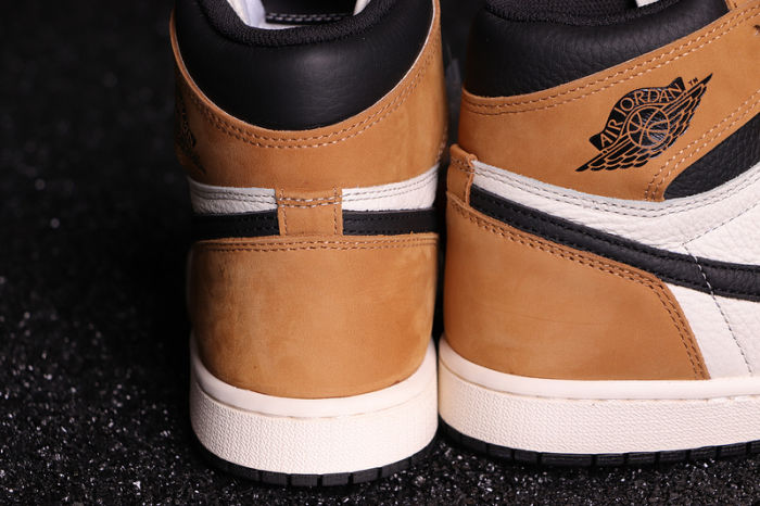 AJ 1 High Retro Classics Shoes 555088-700