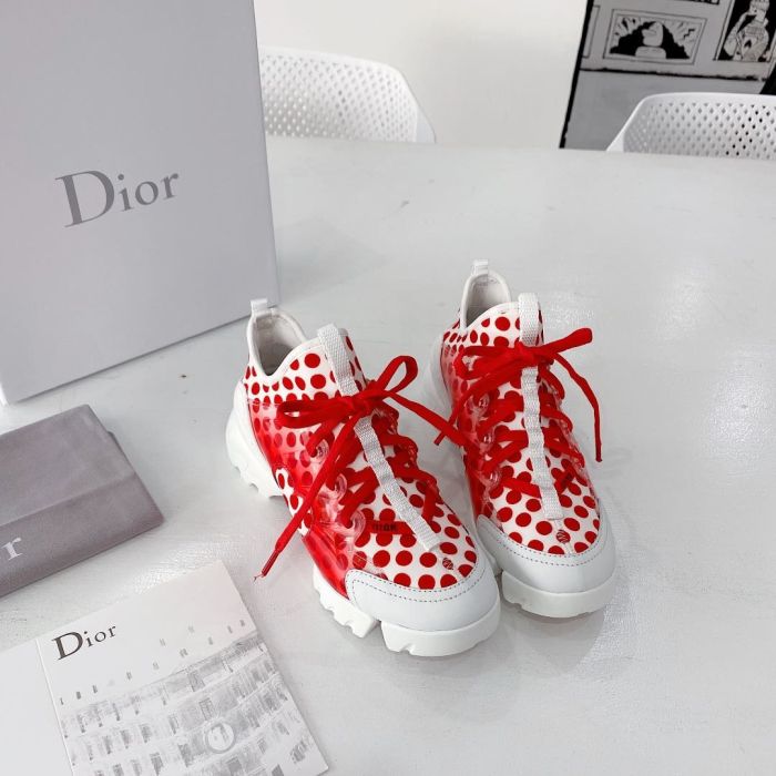 Dior old shoes-Crusie  J’ADIO  20ss