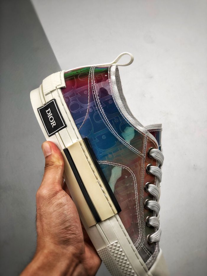 DIOR x Kaws shoes