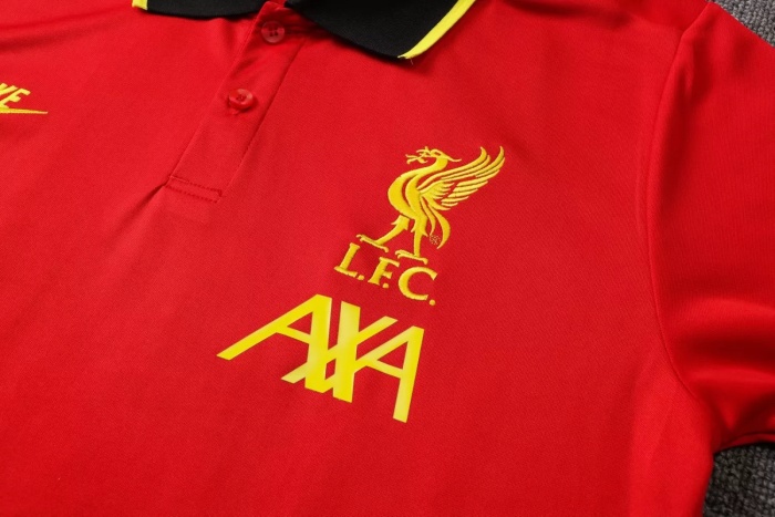 Mens Liverpool Polo Shirt Red 2021/22