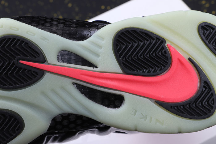 Air Foamposite Pro
