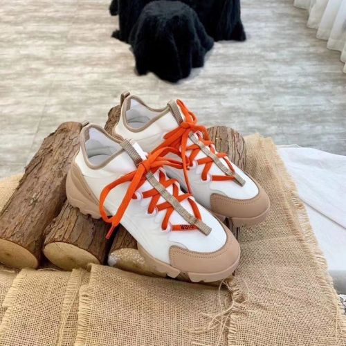 Dior old shoes-Crusie  J’DIOR