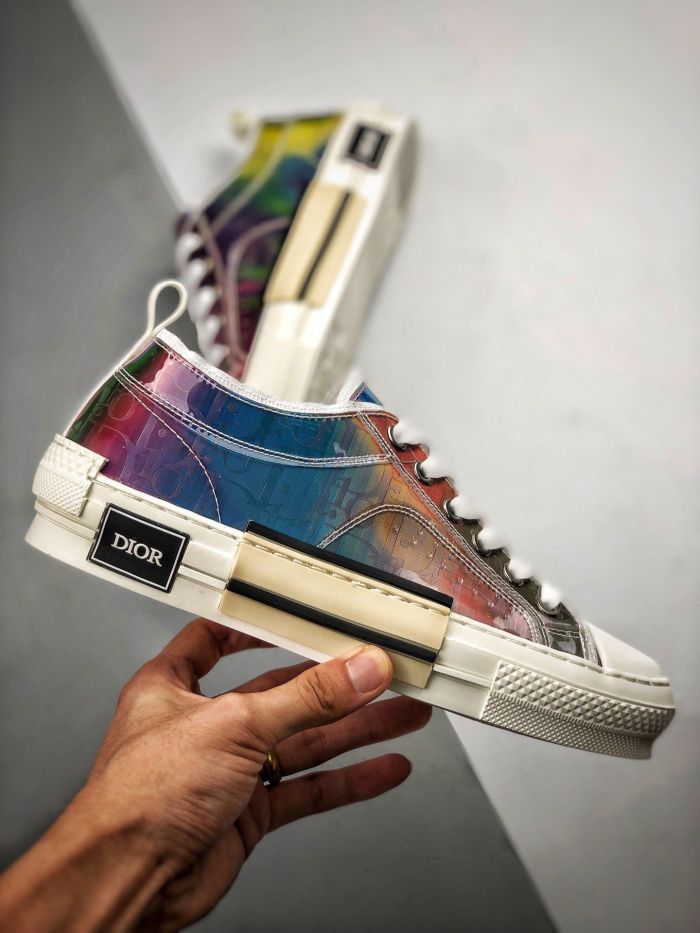 DIOR x Kaws shoes