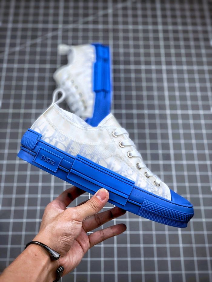 Dior Homme Kaws