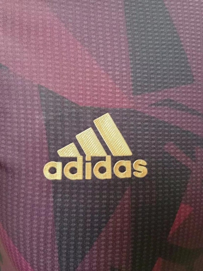 Germany 2022 Dark Red Training Jersey(Player)