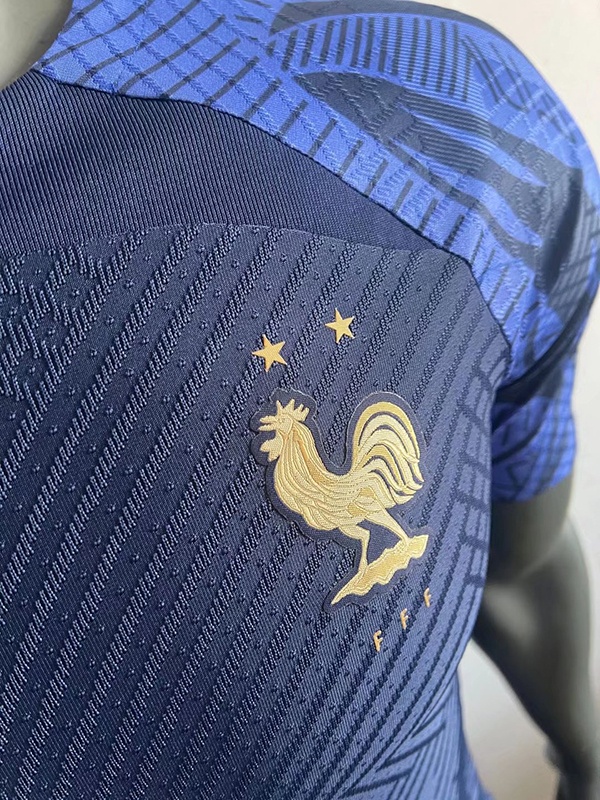 France 2022 Dark Blue Training Jersey(Player)