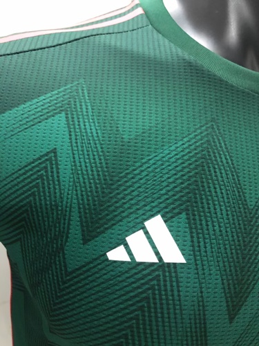 Mexico 2022 World Cup Home Jersey(Player)